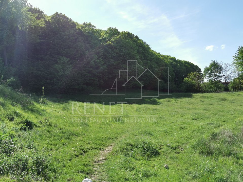 Oportunitate de Investiție - Teren de Basm in Bascov. DIRECT PROPRIETAR.