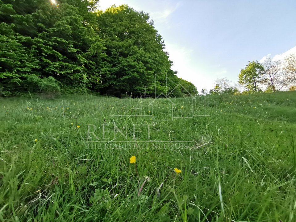 Oportunitate de Investiție - Teren de Basm in Bascov. DIRECT PROPRIETAR.