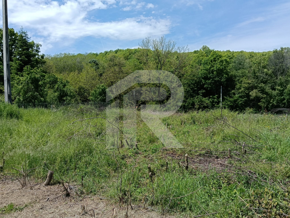 intravilan Tiparesti, relaxare aproape de padure