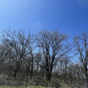 Gruiu_Lipia_Teren Intravilan langa padure