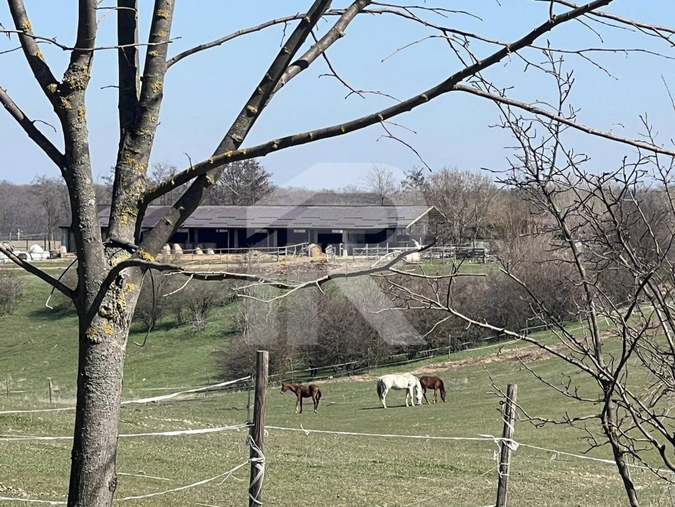 Gruiu_Lipia_Teren Intravilan langa padure