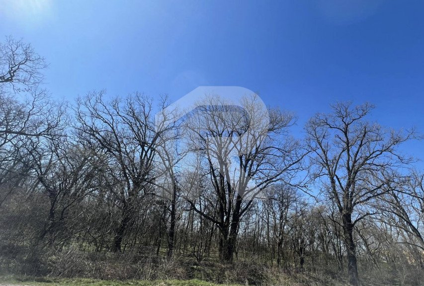 Gruiu_Lipia_Teren Intravilan langa padure