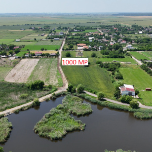 DASCALU-CREATA, LOT 1000 MP!