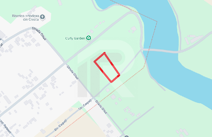 DASCALU-CREATA, LOT 1000 MP!