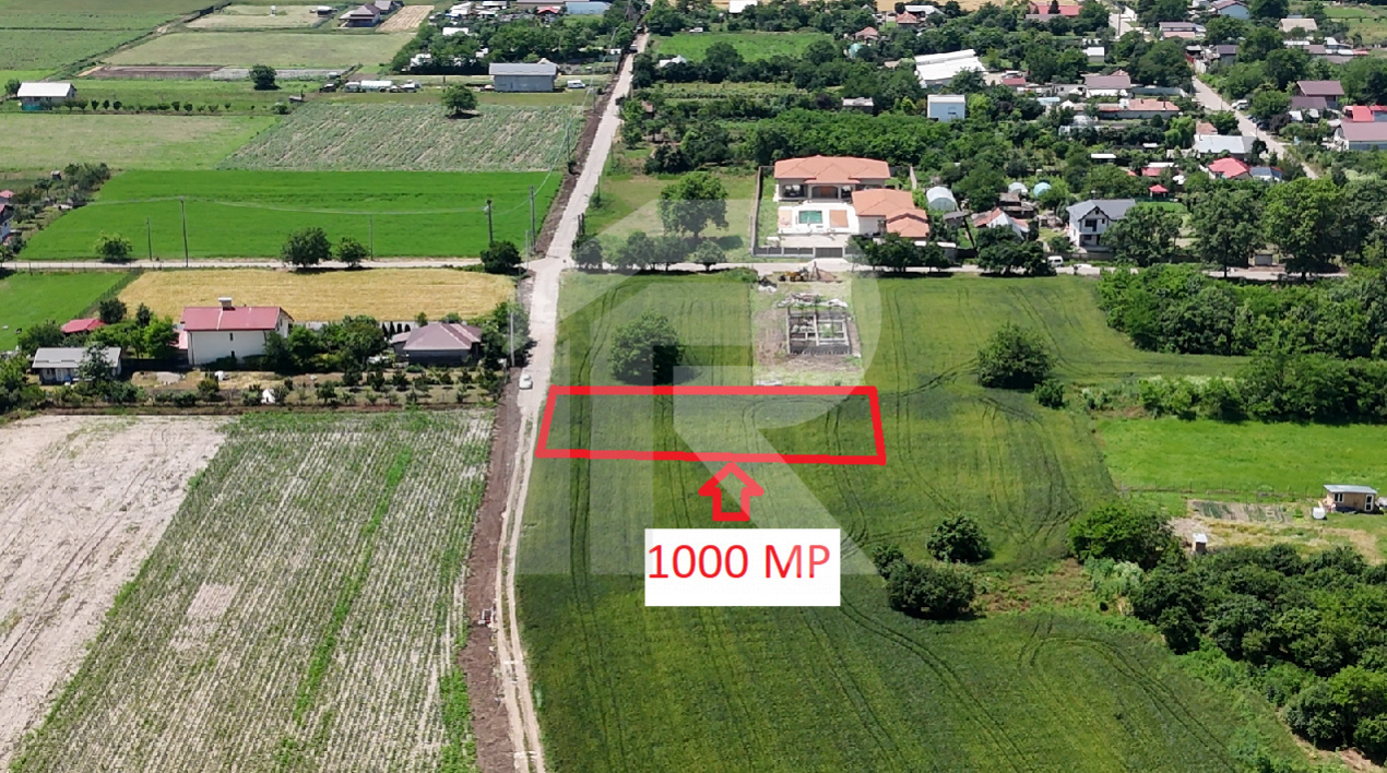 DASCALU-CREATA, LOT 1000 MP!