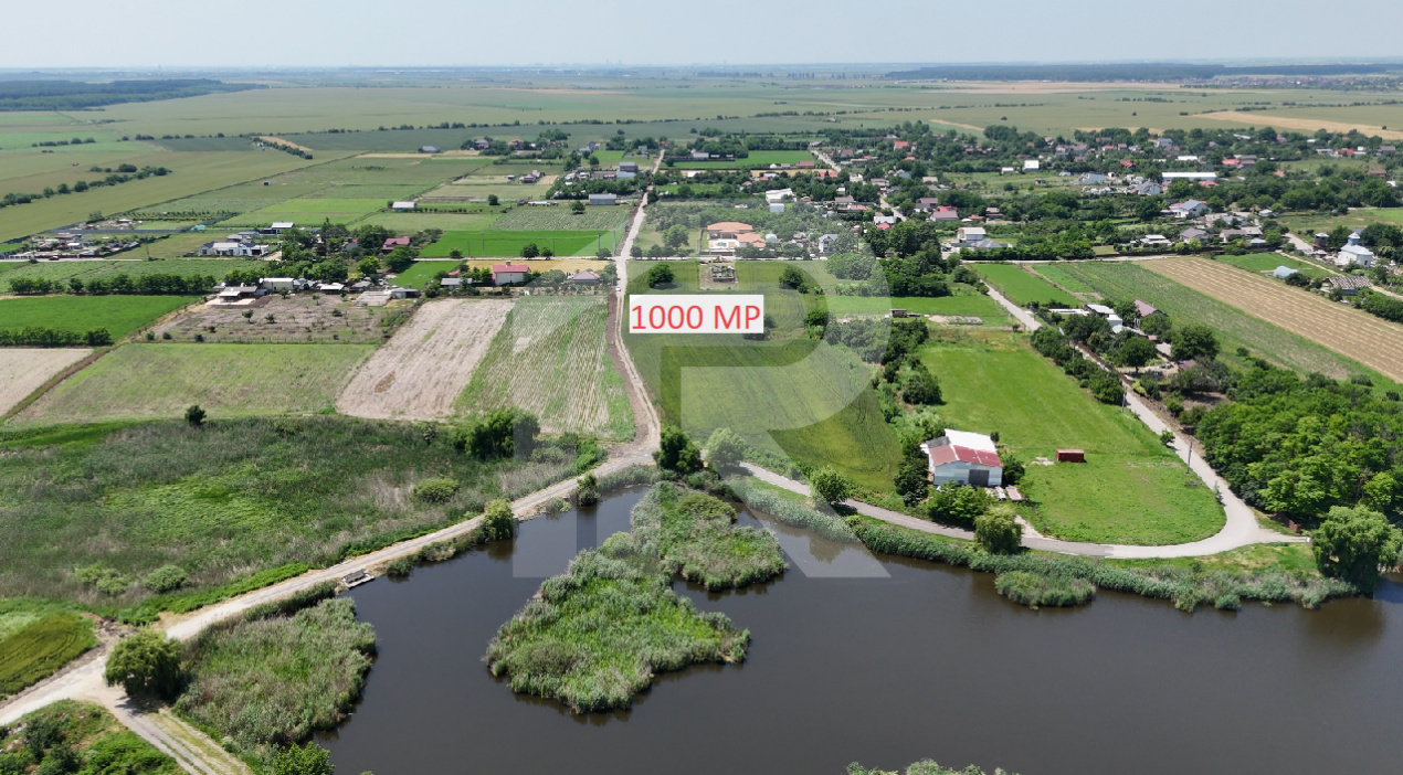 DASCALU-CREATA, LOT 1000 MP!