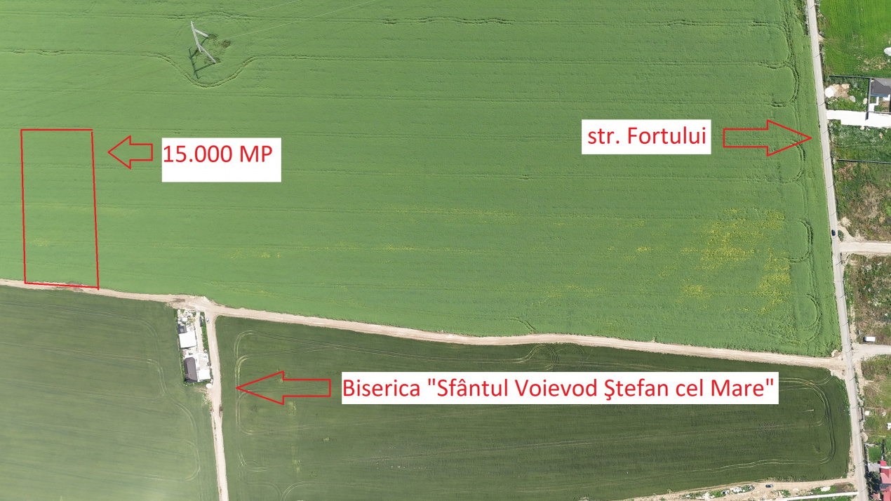 DOMNESTI, LOT 15.000 MP!