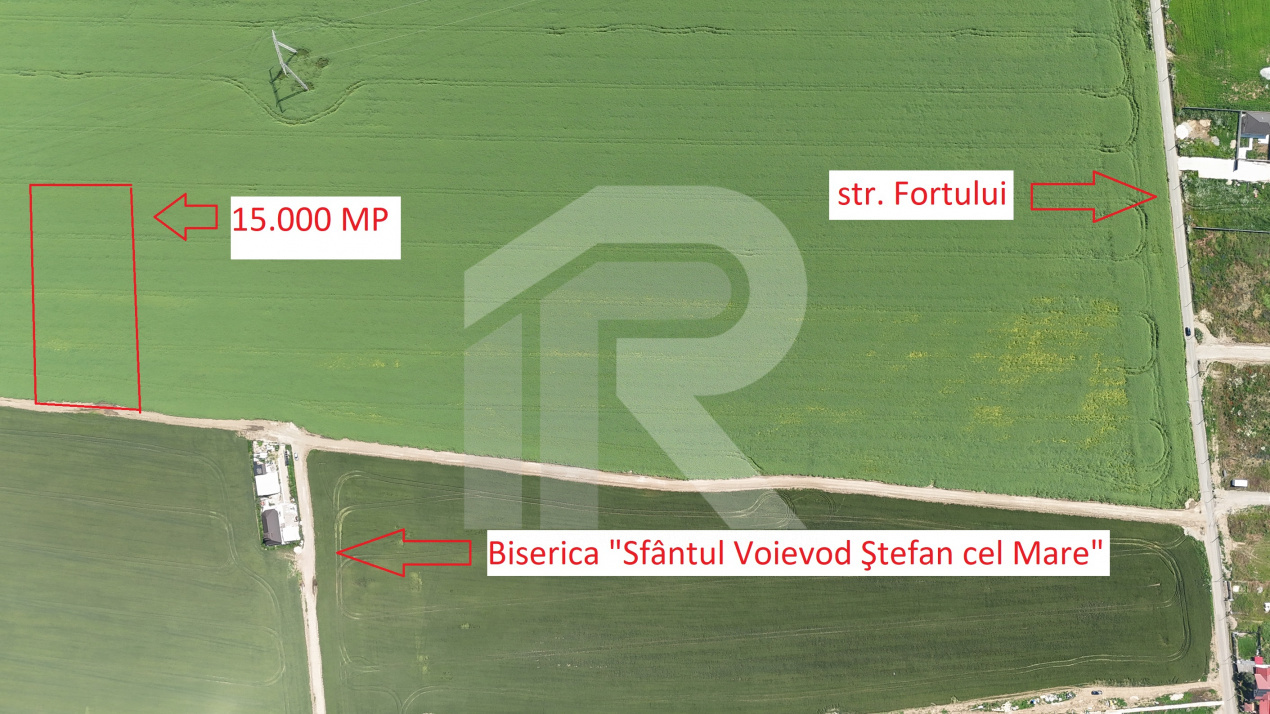 DOMNESTI Lot 15.000 MP 