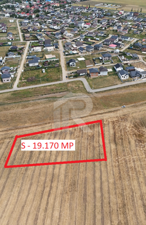 DASCALU Lot 19.170 MP