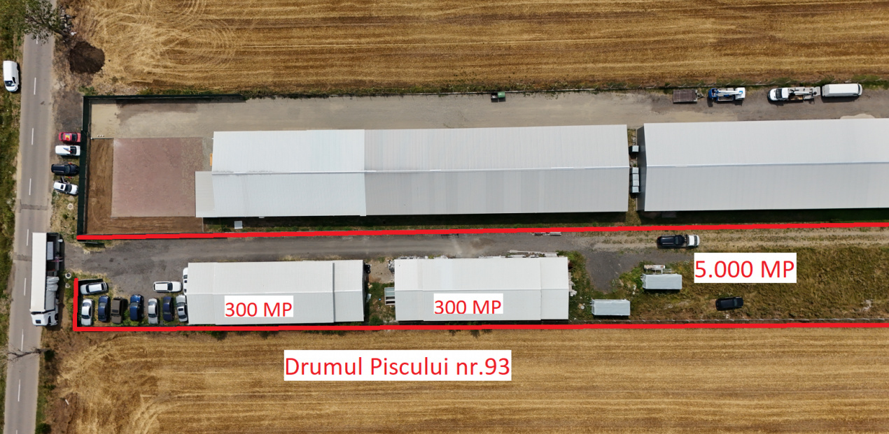 CIOLPANI Lot 5.000 MP