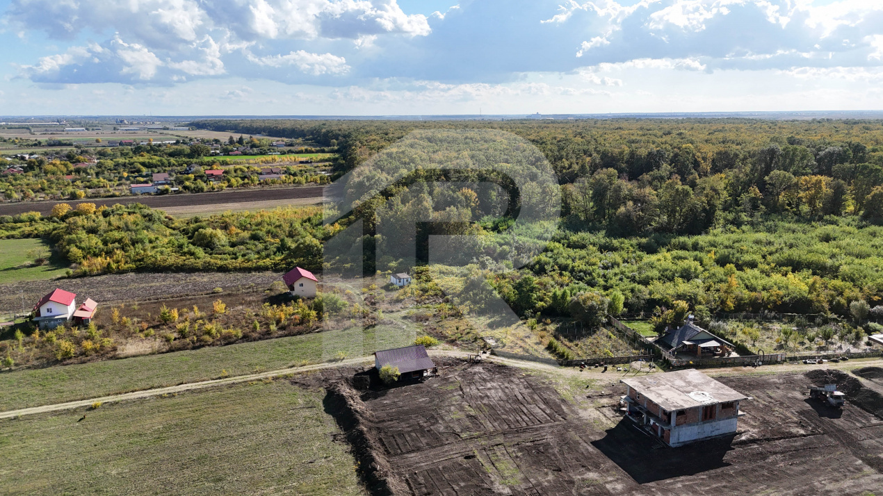 Refugiu la marginea padurii — 1000 mp de liniste in Cocani.