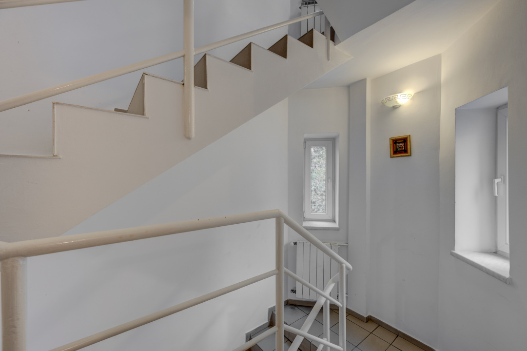 Vila de vanzare Domenii-Ion Mihalache