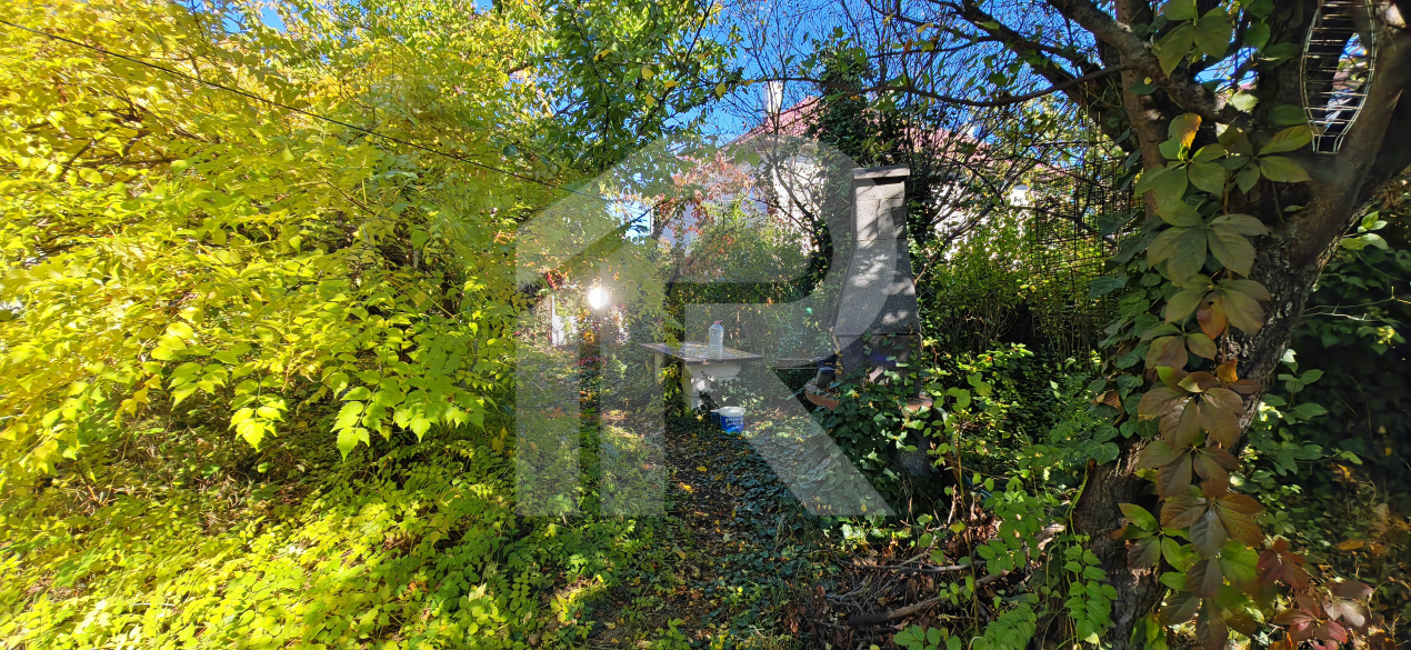 Vila Gabriela Otopeni