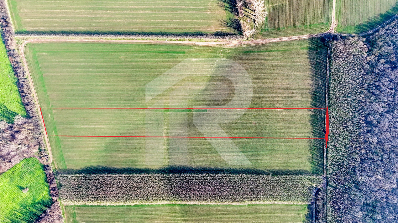 Teren langa Manastirea Sfantul Nicolae Sitaru