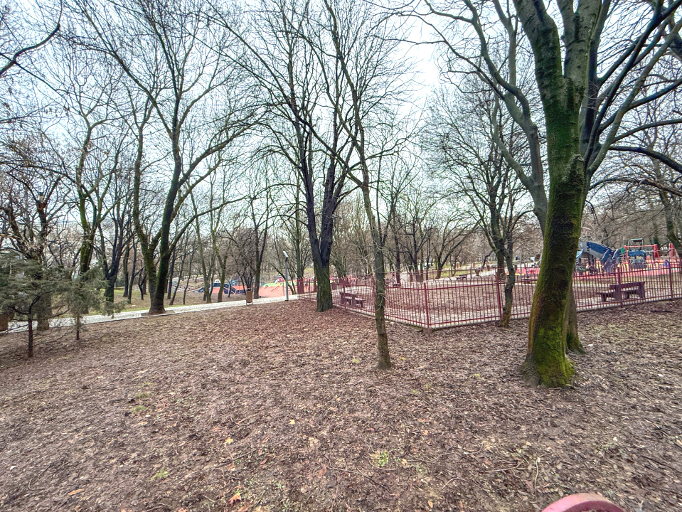 Basarabia, vedre mixta, Parc Gh. Petrascu si Parcul National