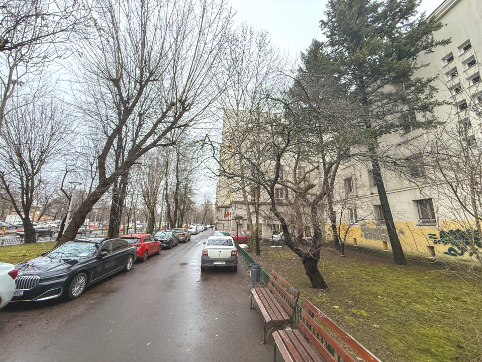 Basarabia, vedre mixta, Parc Gh. Petrascu si Parcul National