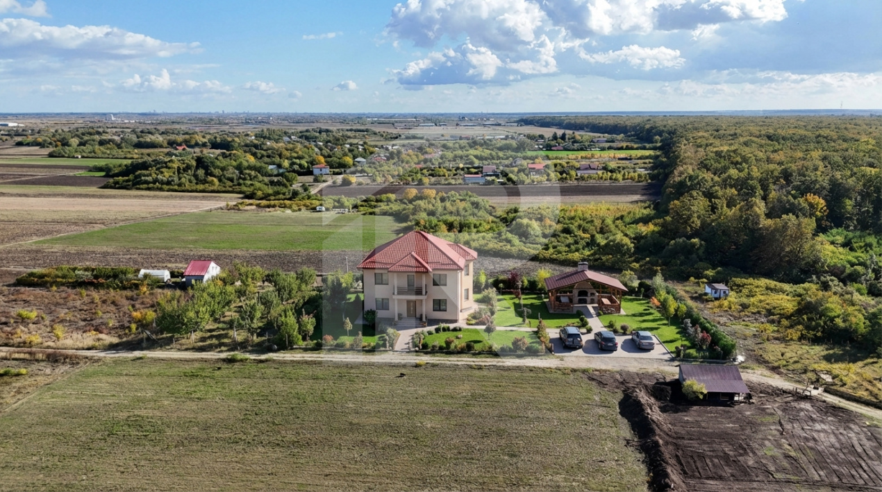 Refugiu la marginea padurii — 2822 mp de liniste in Cocani.