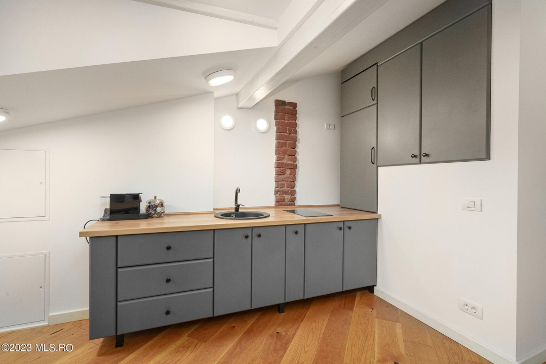 COTROCENI-GRADINA BOTANICA STUDIO LA CHEIE, 33 MP!