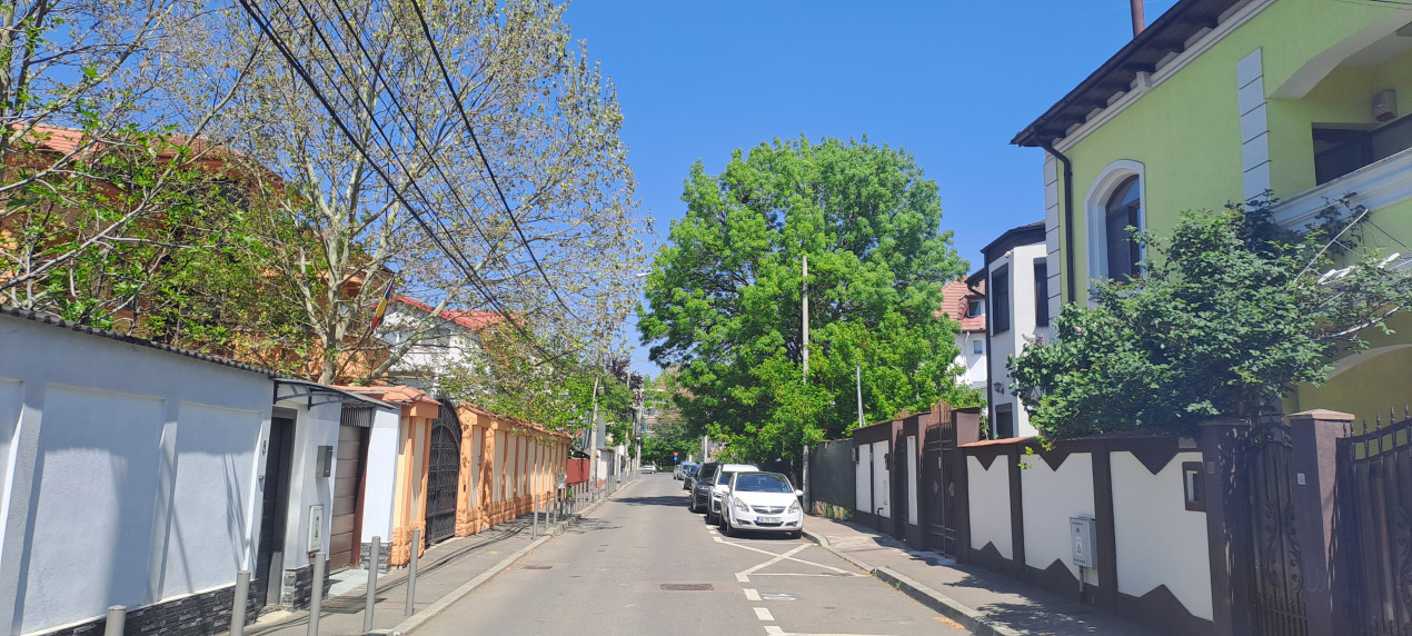 Proprietate deosebita | Moderna | Brancoveanu